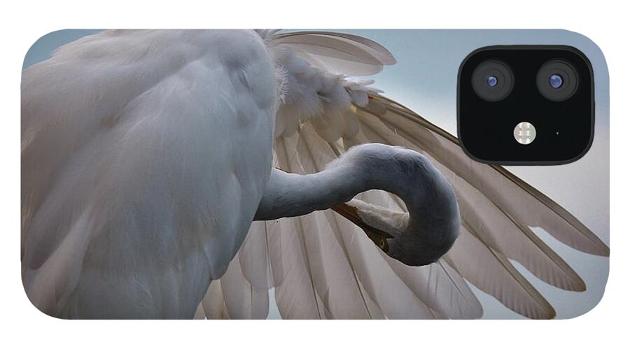 Great White Egret iPhone 12 Case featuring the photograph Angelic by Julie Adair