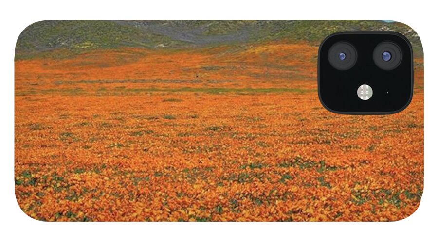  iPhone 12 Case featuring the photograph Another Peek At The Amazing Poppies In by Eric Adams