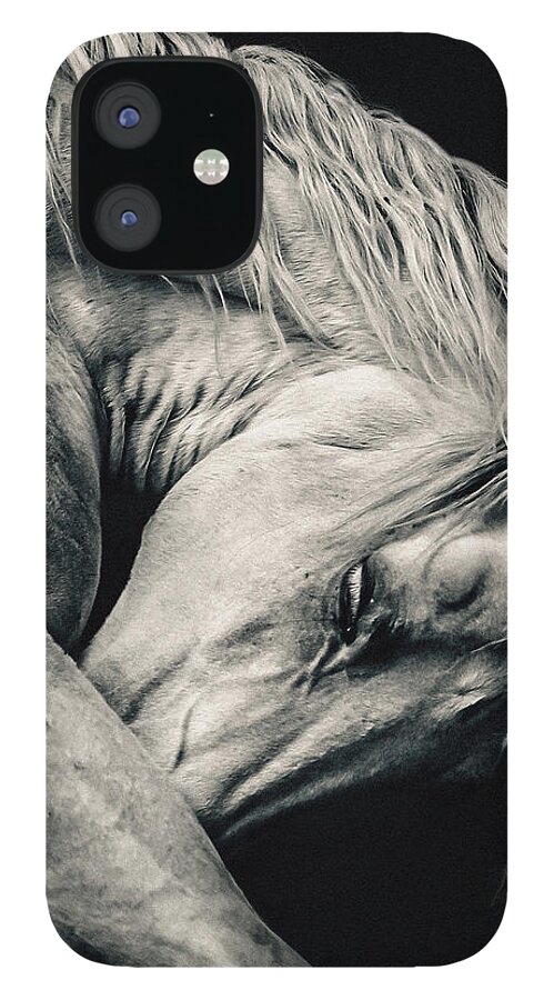 Horse iPhone 12 Case featuring the photograph Arabian beauty white horse portrait by Dimitar Hristov