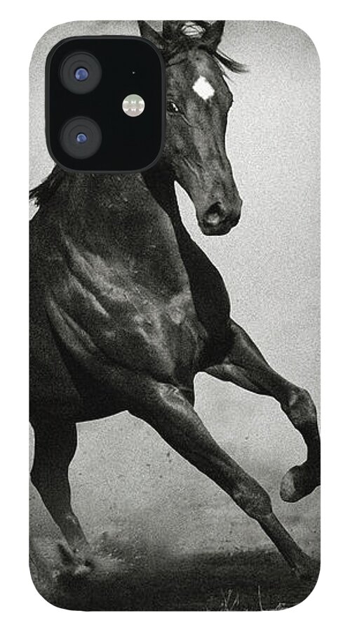 Arab iPhone 12 Case featuring the photograph Arabian Horse by Dimitar Hristov