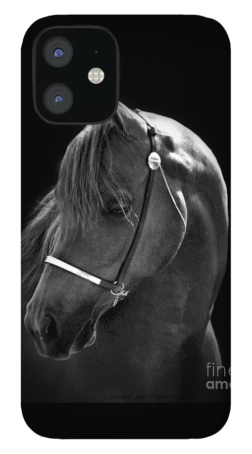  Animal iPhone 12 Case featuring the photograph Arabian Horse in Black and White by Sandra Huston