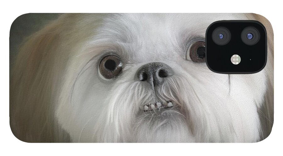 Shih Tzu iPhone 12 Case featuring the photograph Are You Going to Eat That? - Shih Tzu by Mitch Spence