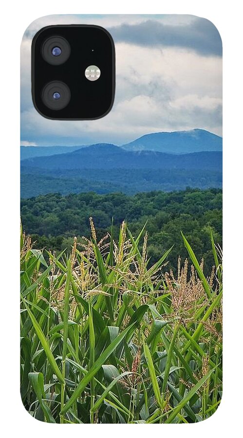  iPhone 12 Case featuring the photograph As high as an elephants eye by Kendall McKernon