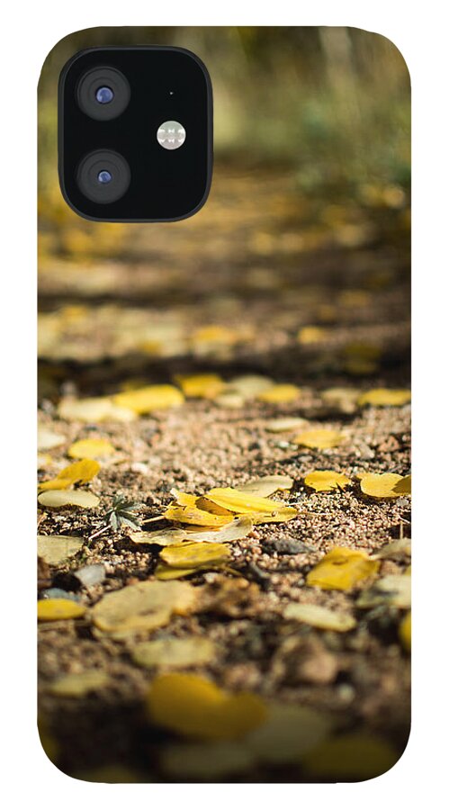 Aspen iPhone 12 Case featuring the photograph Aspen leaves on trail by Stephen Holst