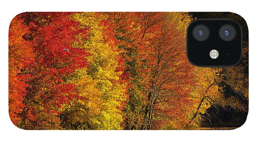 Fall Foliage iPhone 12 Case featuring the photograph Autumn Afternoon at the Cove by William Jobes