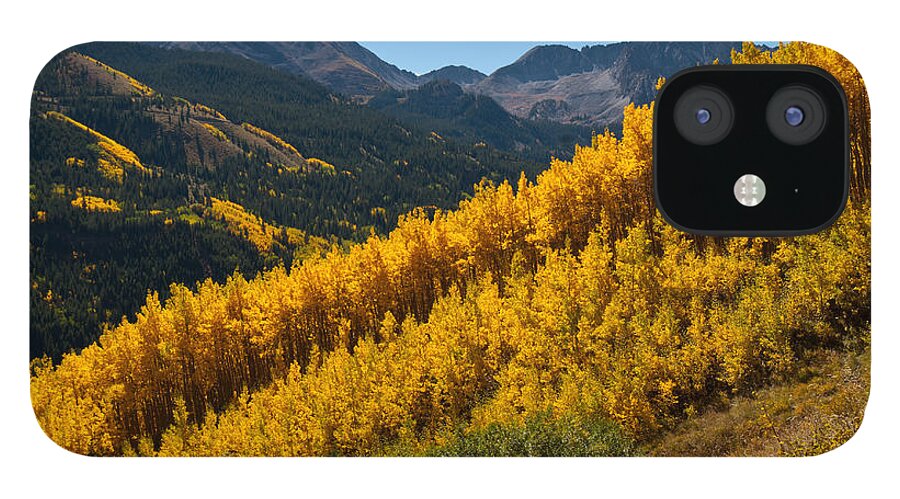 Autumn iPhone 12 Case featuring the photograph Autumn Aspen Near Castle Creek by Cascade Colors