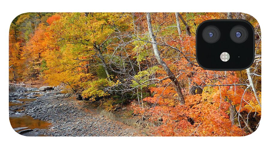 Autumn Creek iPhone 12 Case featuring the painting Autumn creek 2 by Jeelan Clark