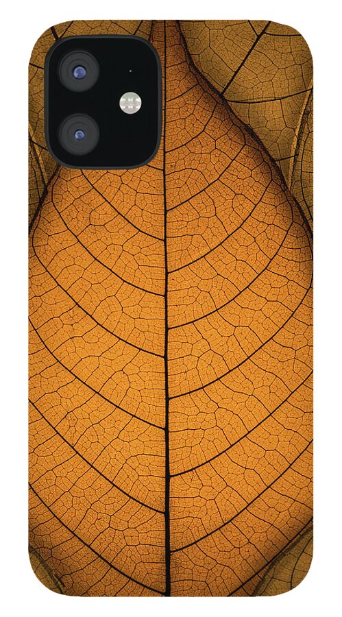 Autumn iPhone 12 Case featuring the photograph Autumn Leaves by Paul Wear
