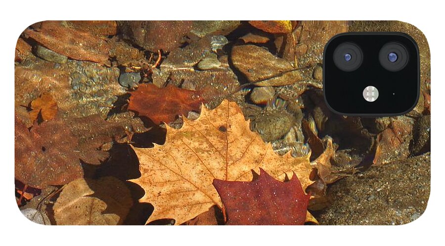 Autumn Leaves iPhone 12 Case featuring the photograph Autumn Leaves Under Water by Anita Adams