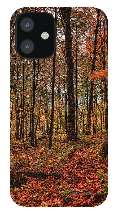 Autumn iPhone 12 Case featuring the photograph Autumn on the Ice Age Trail by Dale Kauzlaric
