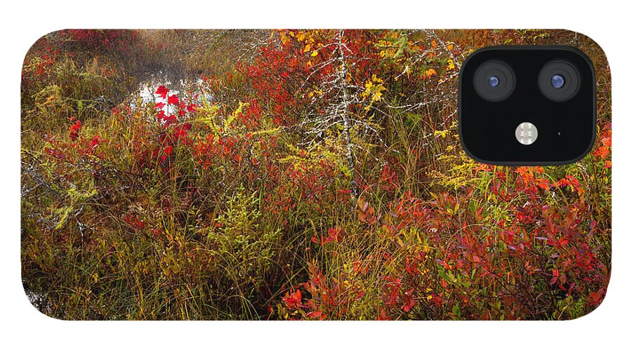 Blue Mountain-birch Cove Lakes Wilderness iPhone 12 Case featuring the photograph Autumn Pond Barrens by Irwin Barrett