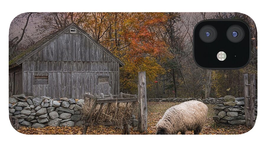 Sheep iPhone 12 Case featuring the photograph Autumn Sweater by Robin-Lee Vieira