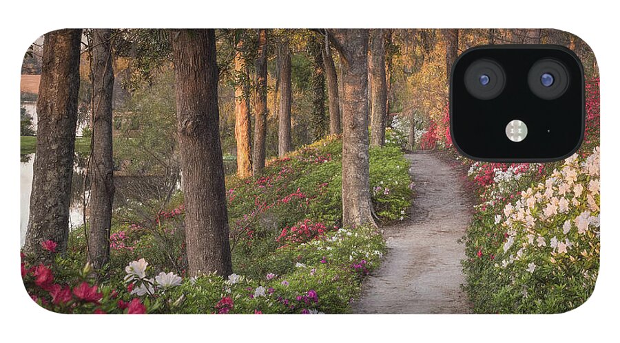 Lowcountry Springtime iPhone 12 Case featuring the photograph Azalea Hill Path by Kim Carpentier