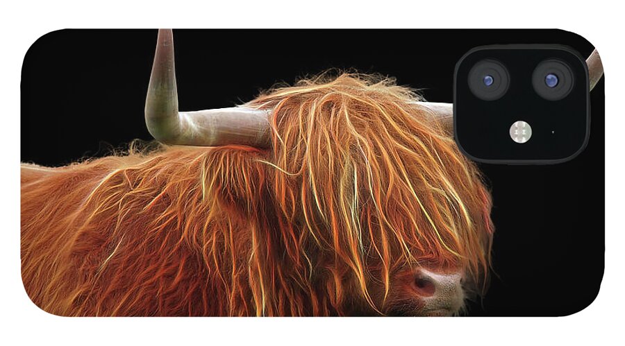 Highland Cow iPhone 12 Case featuring the photograph Bad Hair Day - Highland Cow - On Black by Gill Billington