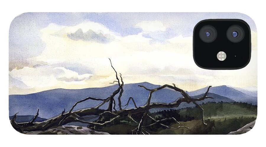 Landscape Painting iPhone 12 Case featuring the painting Baker Dam Colorado by Alfred Ng