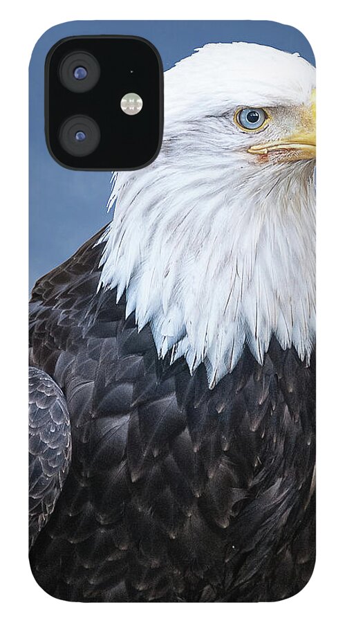 Alaska iPhone 12 Case featuring the photograph Bald Eagle by Norman Peay