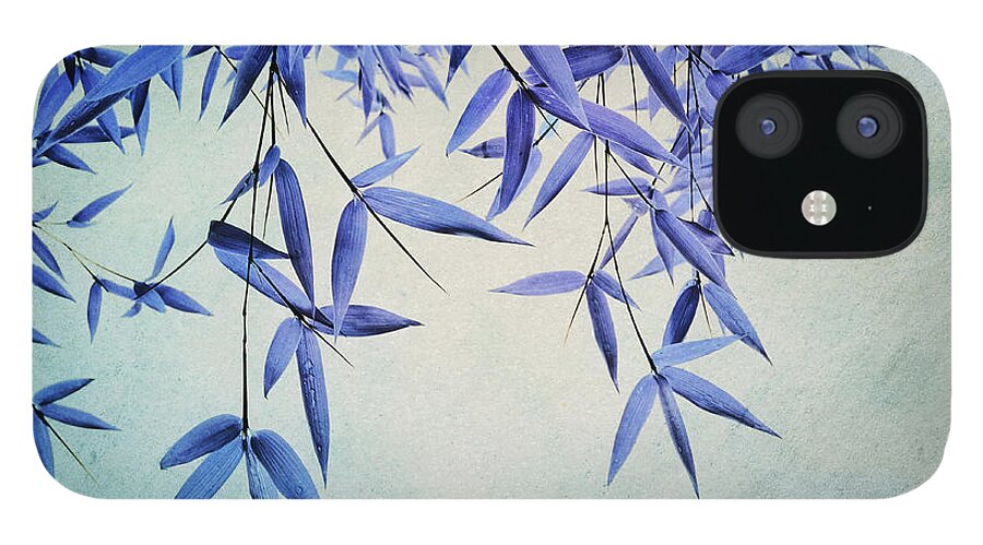 Bamboo iPhone 12 Case featuring the photograph Bamboo Susurration by Priska Wettstein