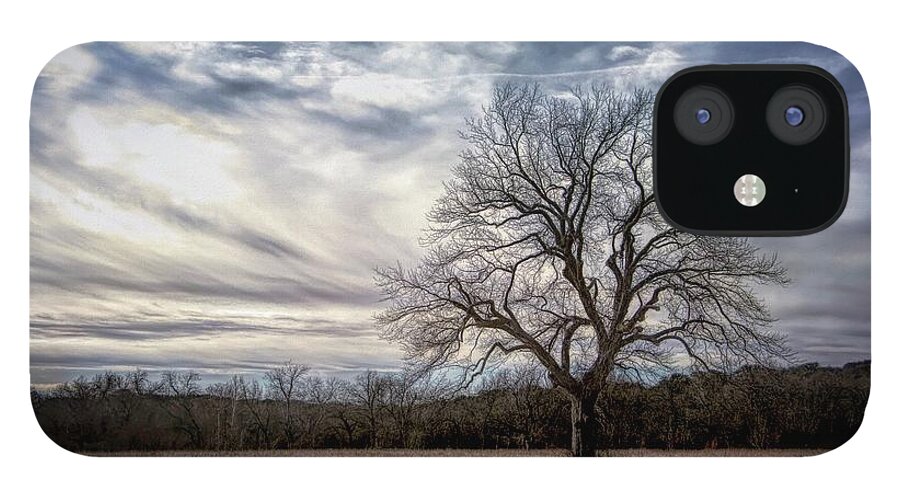 Tree iPhone 12 Case featuring the photograph Baron Tree of Winter by G Lamar Yancy