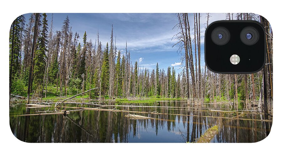 British Columbia iPhone 12 Case featuring the photograph BC Forest Lake by Ryan Heffron