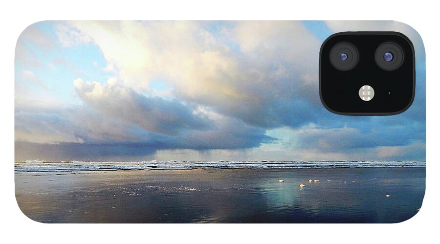 Waldport iPhone 12 Case featuring the photograph Beach Rain by Gary Olsen-Hasek