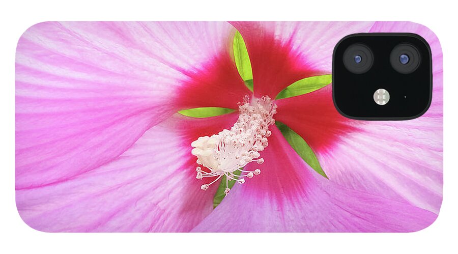 Flower iPhone 12 Case featuring the photograph Beautiful delicate pink hibiscus flower by GoodMood Art