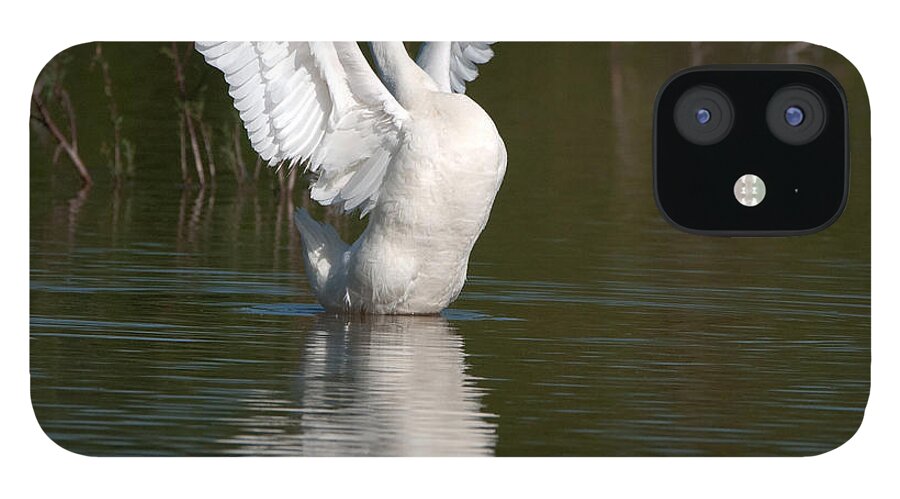 Goose iPhone 12 Case featuring the photograph Beauty by Tam Ryan