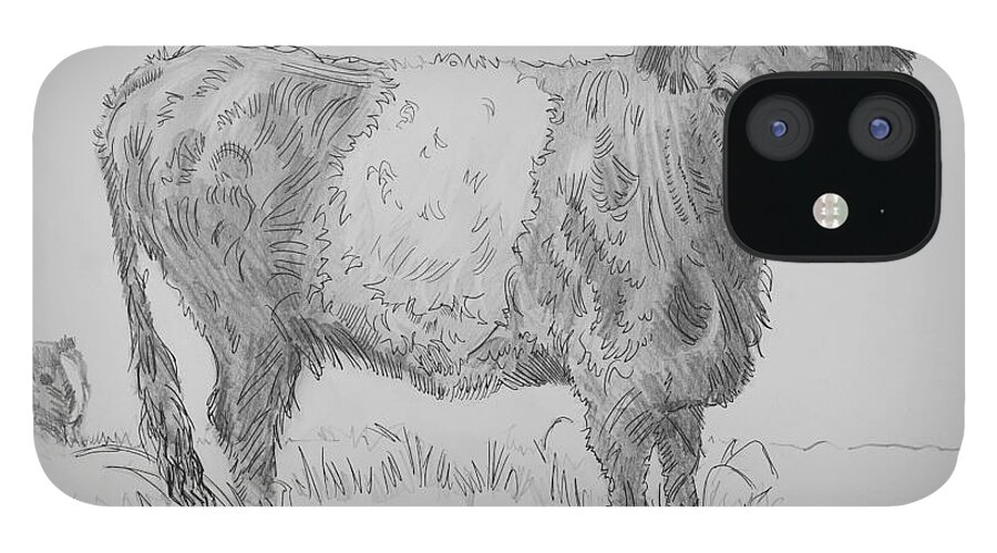 Belted Galloway Cow Drawing iPhone 12 Case featuring the drawing Belted Galloway Cow Pencil Drawing by Mike Jory