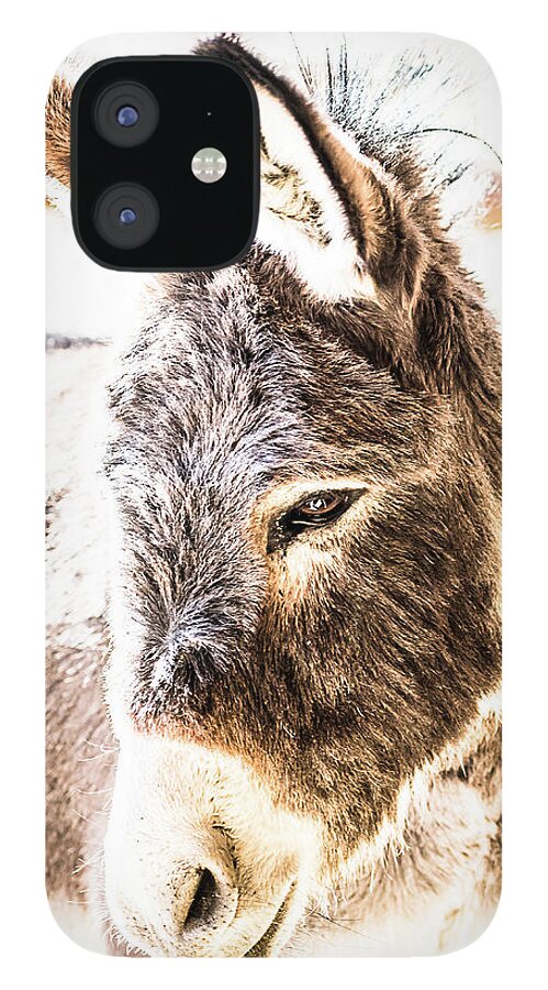 Donkey iPhone 12 Case featuring the photograph Big Ears by Jennifer Grossnickle