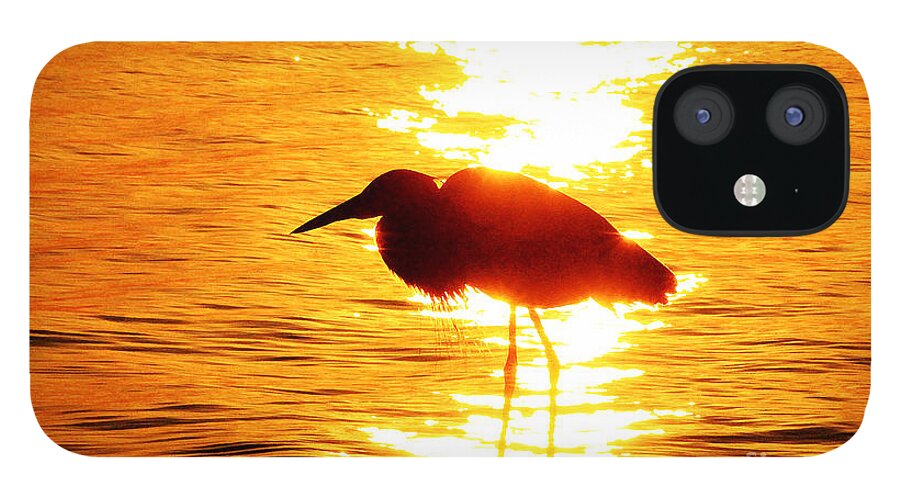 Great iPhone 12 Case featuring the photograph Blinded by the Light by Ola Allen