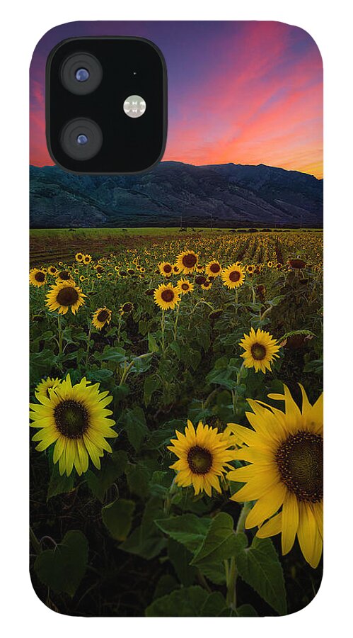  iPhone 12 Case featuring the photograph Bloom by Micah Roemmling
