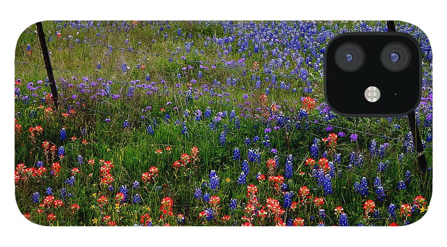 Texas iPhone 12 Case featuring the photograph Bluebonnets #0487 by Barbara Tristan