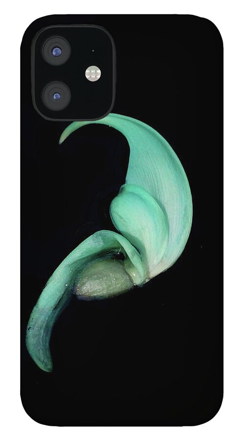 Jade Vine iPhone 12 Case featuring the photograph Blue Claw by Cate Franklyn