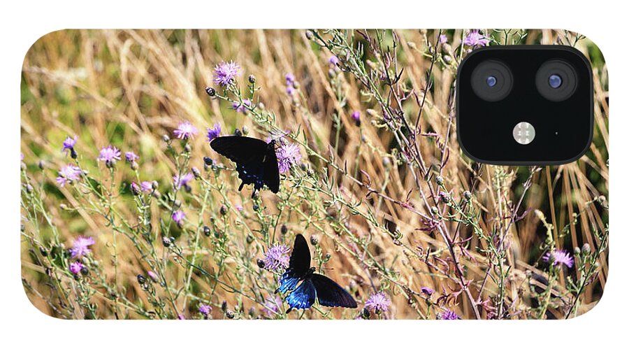 Butterfly iPhone 12 Case featuring the photograph Blue Ridge Butterflies 3 by Matt Sexton