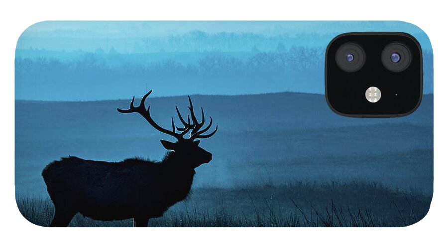 Jay Stockhaus iPhone 12 Case featuring the photograph Blue Sunrise by Jay Stockhaus