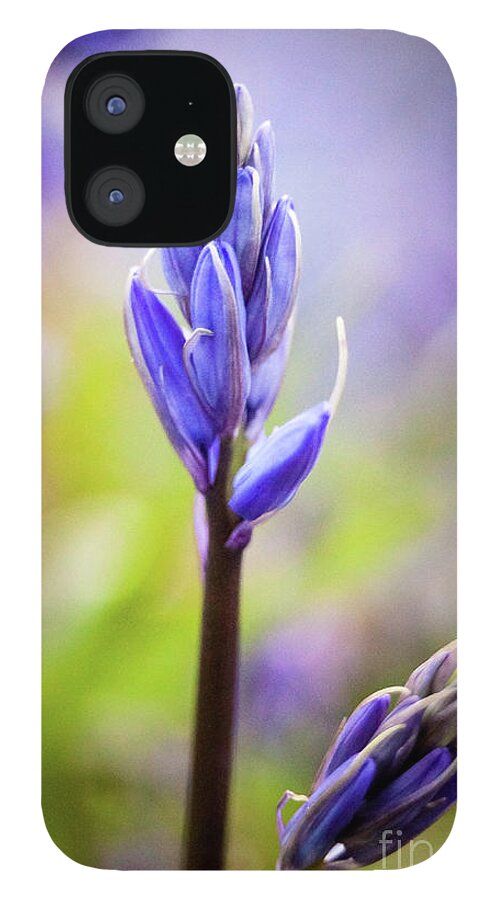 Mtphotography iPhone 12 Case featuring the photograph Bluebells by Mariusz Talarek