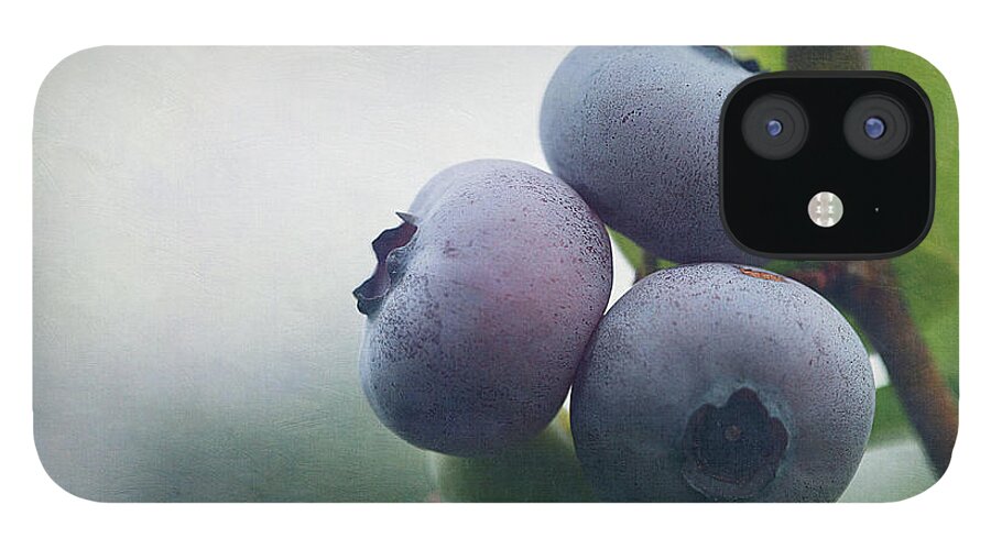 Cindi Ressler Blueberries iPhone 12 Case featuring the photograph Blueberries by Cindi Ressler