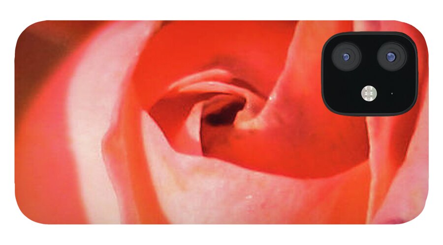 Rose iPhone 12 Case featuring the photograph Blurred Rose by Jeff Kurtz