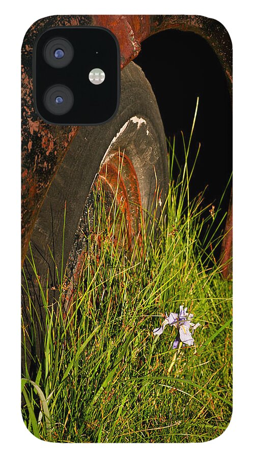 Flower iPhone 12 Case featuring the photograph Bodie 13 by Catherine Sobredo
