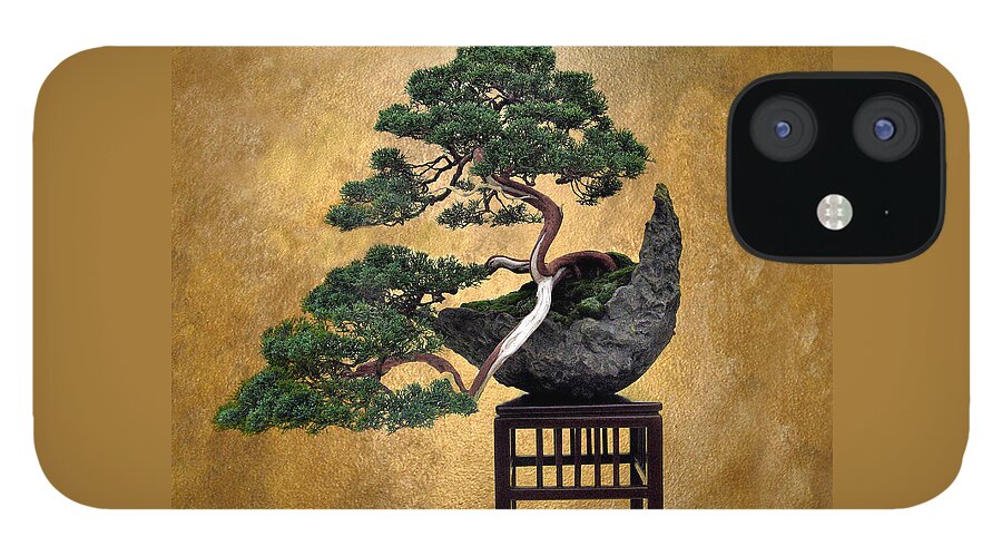 Tree iPhone 12 Case featuring the photograph Bonsai 3 by Jessica Jenney