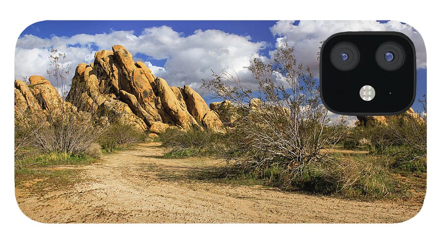 Landscape iPhone 12 Case featuring the photograph Boulders At Apple Valley by James Eddy