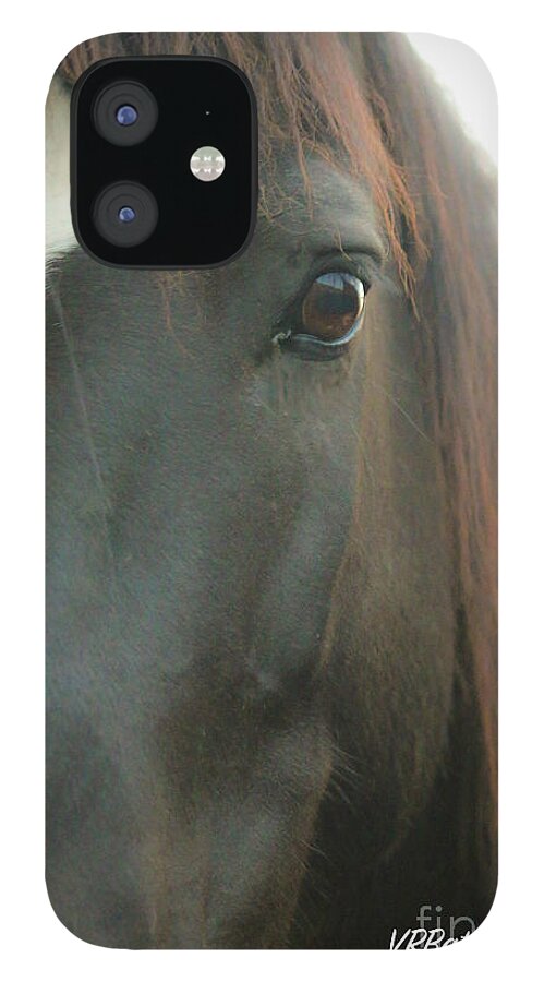 Bronco iPhone 12 Case featuring the photograph Bronco by Veronica Batterson