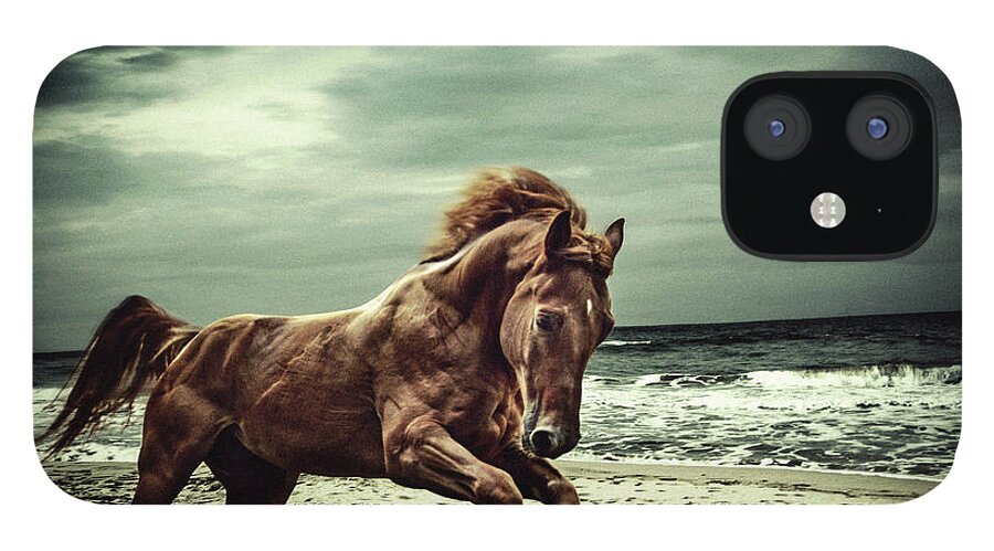 Horse iPhone 12 Case featuring the photograph Brown horse galloping on the coastline by Dimitar Hristov