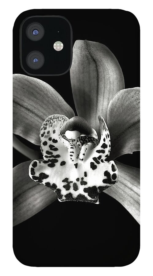 Flower iPhone 12 Case featuring the photograph Brown Orchid in Black and White by Endre Balogh