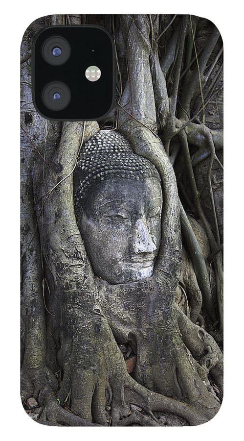 Buddha Head In Tree iPhone 12 Case featuring the photograph Buddha Head in Tree by Adrian Evans