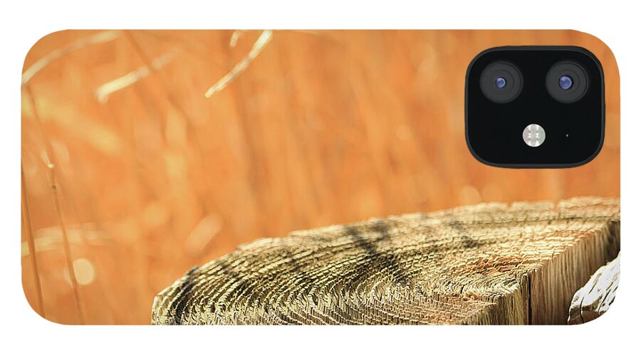 Cantigny iPhone 12 Case featuring the photograph Cantigny Fence Post by Joni Eskridge