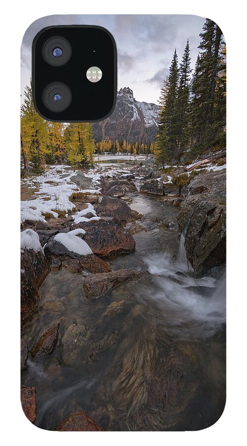 Lake O Hara iPhone 12 Case featuring the photograph Cascading by Emily Dickey