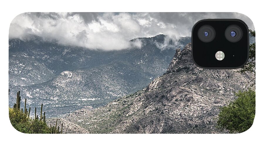 Catalina Mountains iPhone 12 Case featuring the photograph Catalina Mountains by Tam Ryan