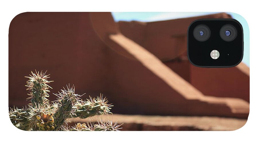 Cholla iPhone 12 Case featuring the photograph Cholla at the Pecos Pueblo Mission by David Diaz