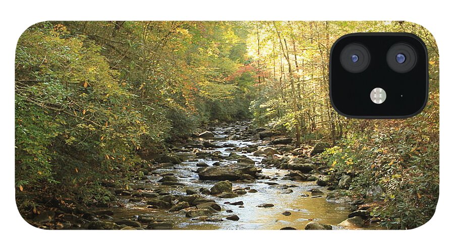 Mountain Stream iPhone 12 Case featuring the photograph Clear Creek on South Mountain by Karen Ruhl