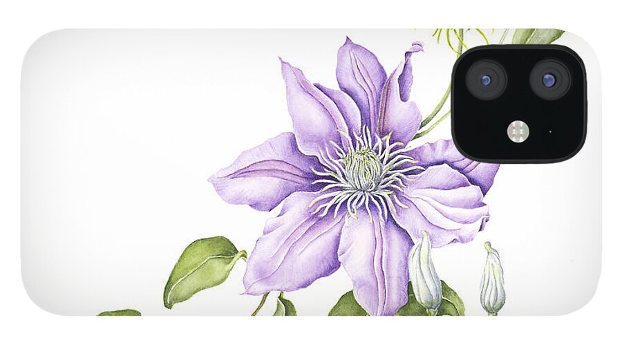 Watercolors iPhone 12 Case featuring the painting Clematis Cezanne by Karla Beatty